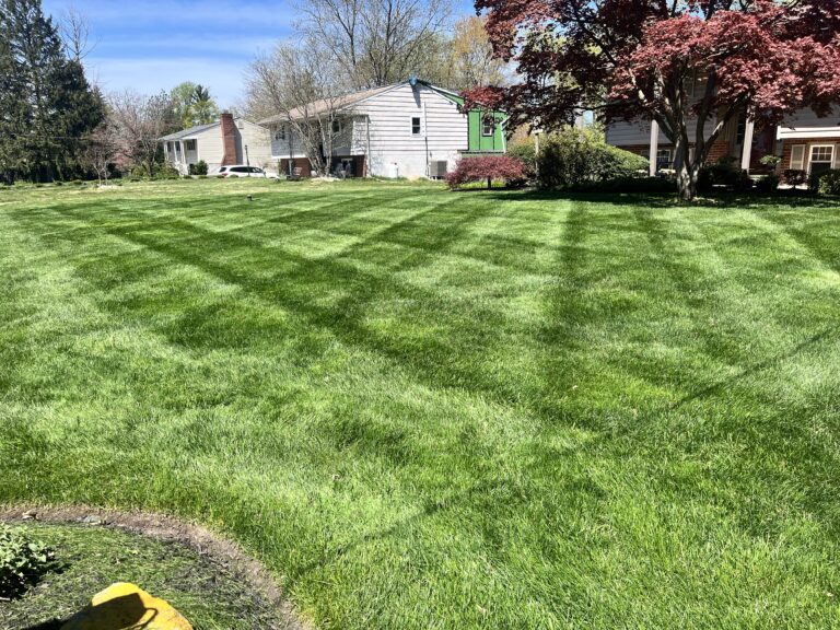 6815A55A-84F9-4EED-BBF4-E0644648716C