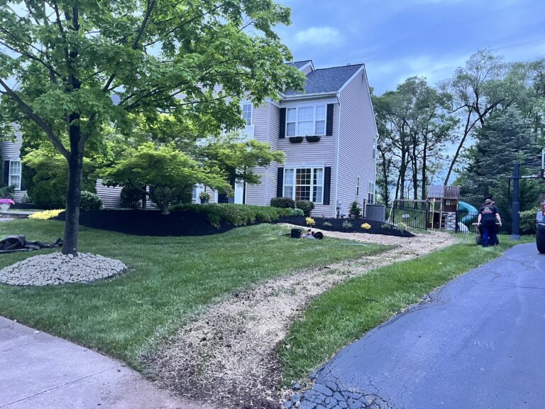 6ECC36D8-9A8C-4534-ABB6-2F35EF58A9B5