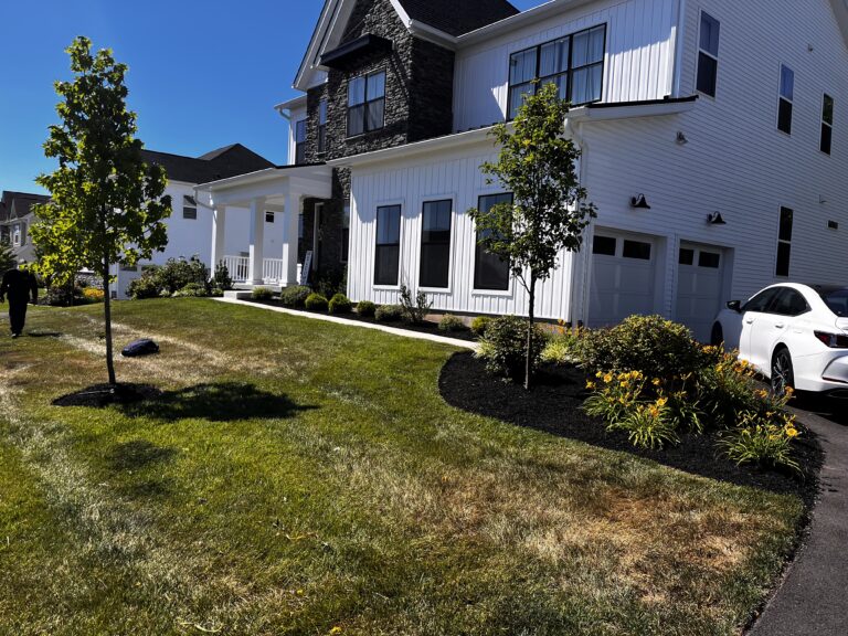 8328A919-B2B8-4C8E-8D72-1DBF5900BBA6